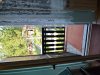 zlatibor-apartman-na-kamalju-10