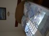 zlatibor-apartmani-nebojsa-2-02