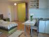 zlatibor-vila-sladjan-apartman-3