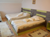 zlatibor-vila-sladjan-apartman-6